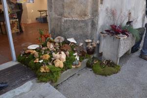 Jesenska razstava gob razkrila bogastvo gozdov 1